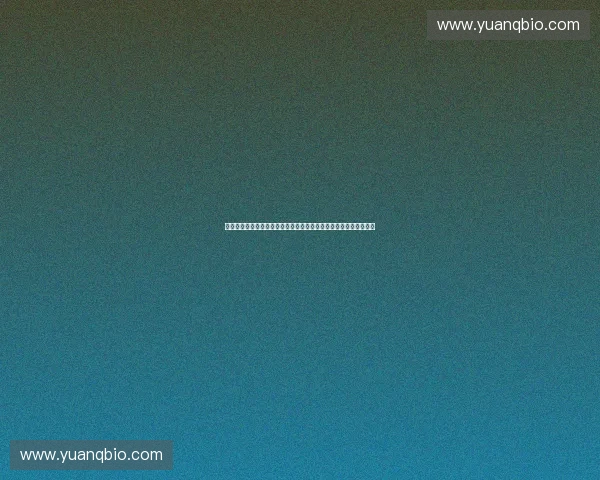 构建体育数字认证平台驱动产业升级与智慧监管融合发展新生态体系